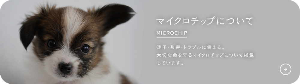 マイクロチップについて