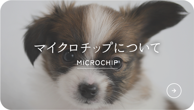 マイクロチップについて